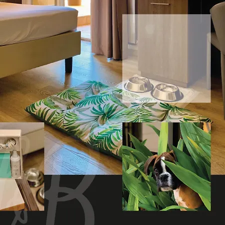 Hotel Brescia Darfo Boario Terme